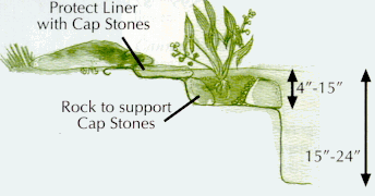 bog plant shelf for direct planting