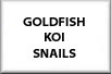 Goldfish, Koi, Golden Orfe and Scavengers