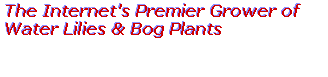 Springdale Water Gardens, Virginia's and now the Internet's Premier Grower of Water Lilies and Bog Plants