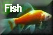 Aquatic Creatures