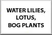 Water Lilies, Bog Plants, Floating and Submerged Plants