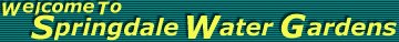 Topic Descriptor